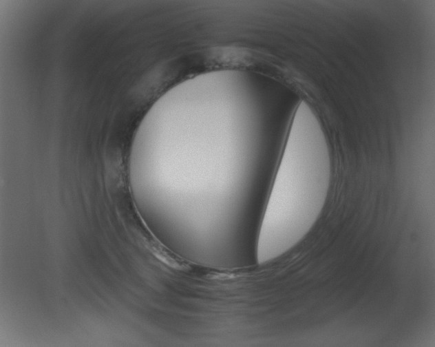 X0000081450465200701121019