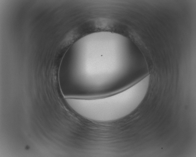 X0000081450466200701121019