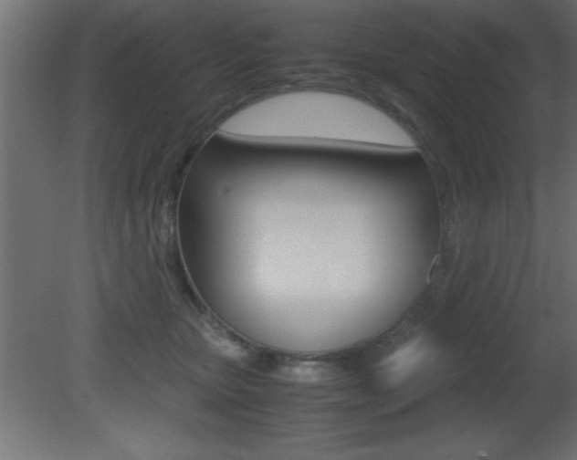 X0000081450467200701121019