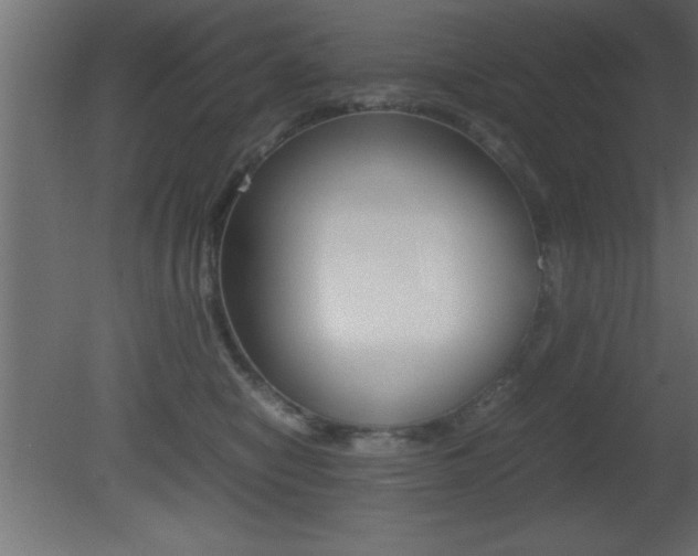 X0000081450470200701121019