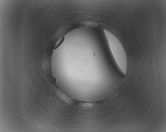 X0000081450473200701121019