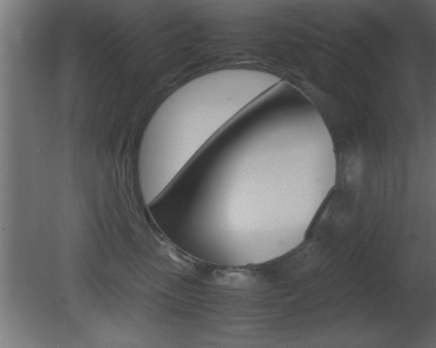 X0000081450475200701121019