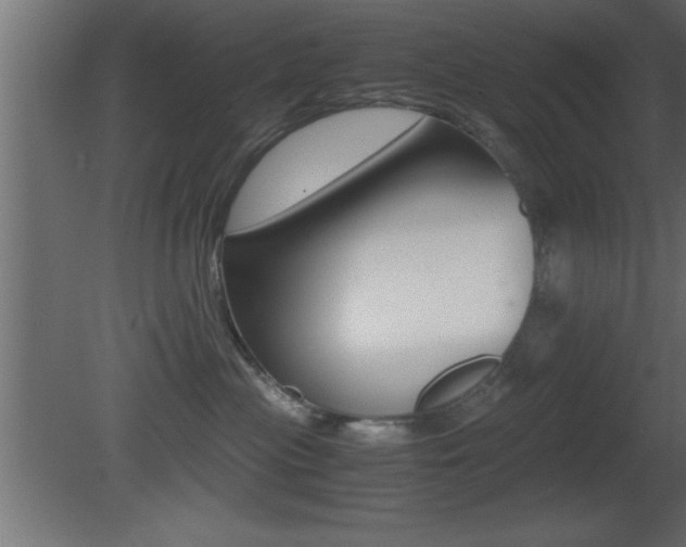 X0000081450477200701121019