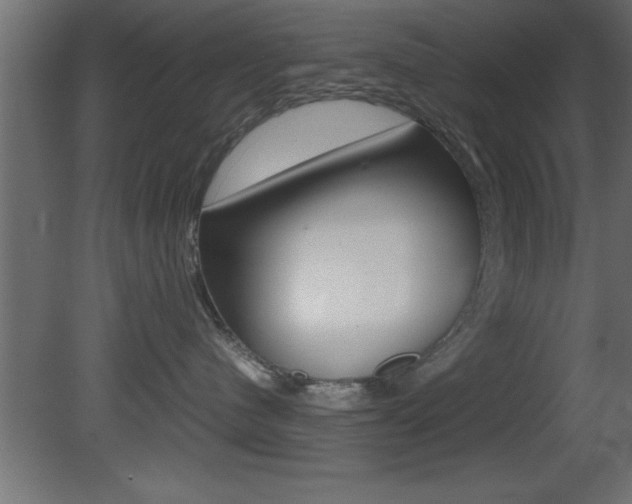 X0000081450480200701121020