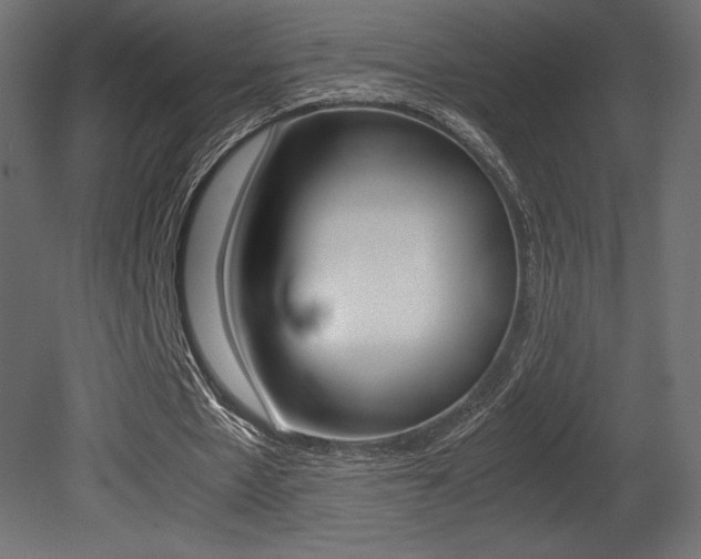 X0000081450481200701121019