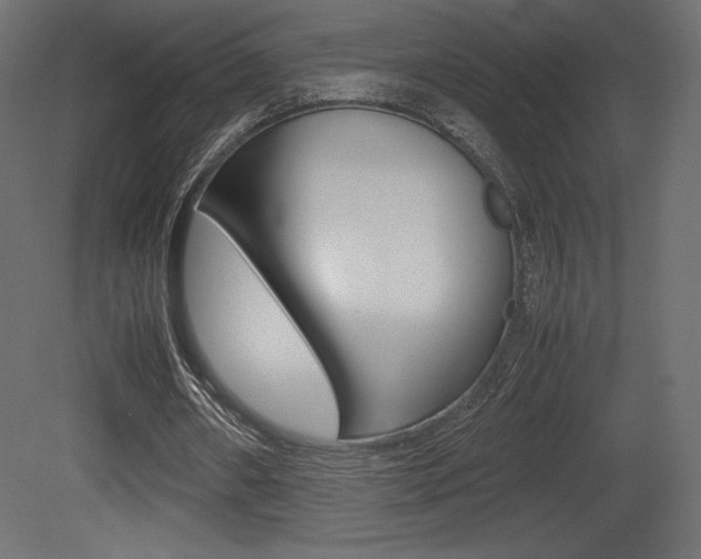 X0000081450482200701121019
