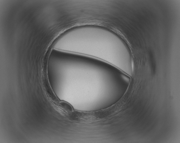 X0000081450483200701121019