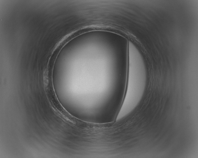 X0000081450484200701121019