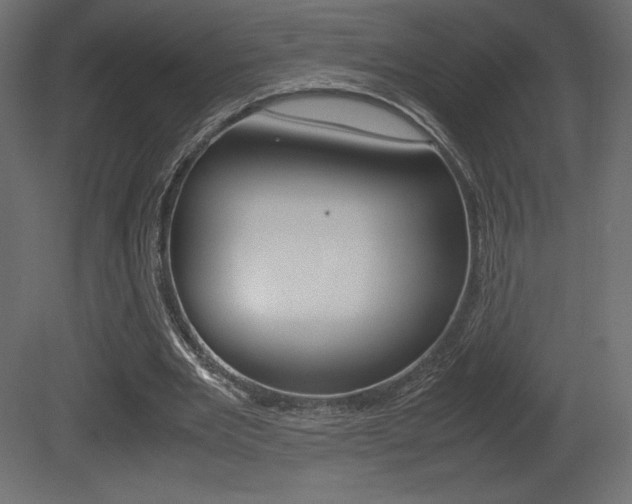 X0000081450485200701121019