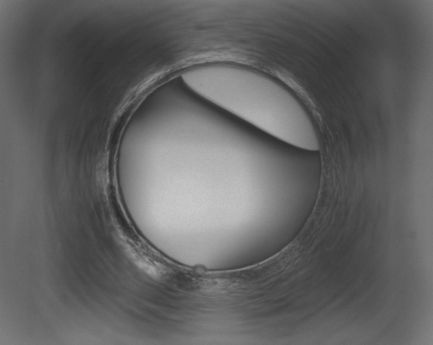 X0000081450486200701121019