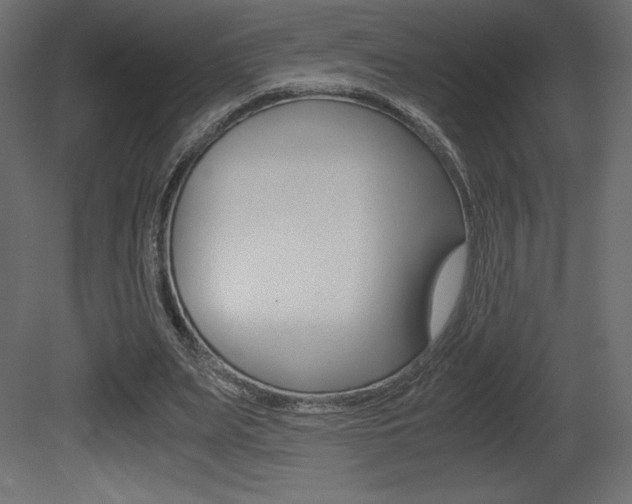 X0000081450487200701121019