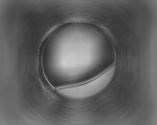 X0000081450488200701121019