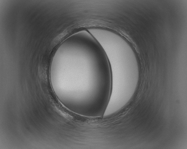 X0000081450489200701121019