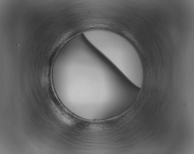 X0000081450490200701121019