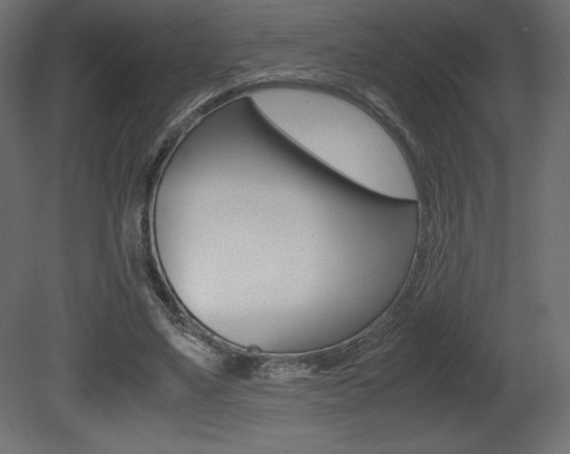 X0000081450491200701121019