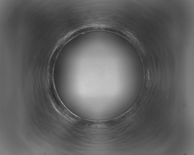 X0000081450492200701121019