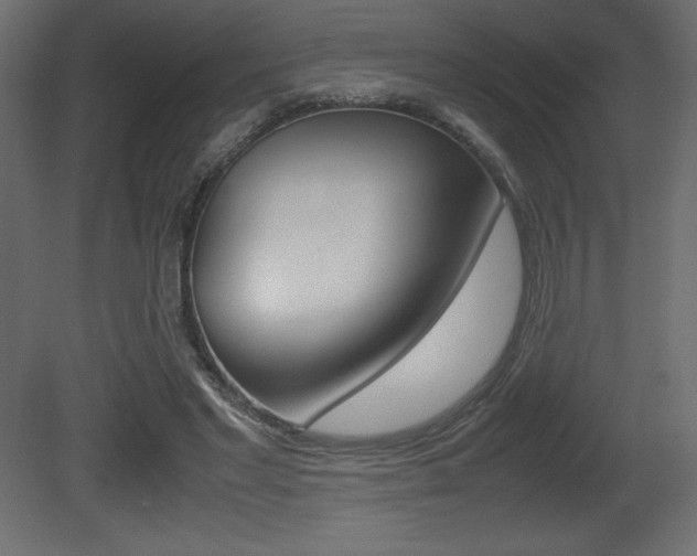 X0000081450493200701121019