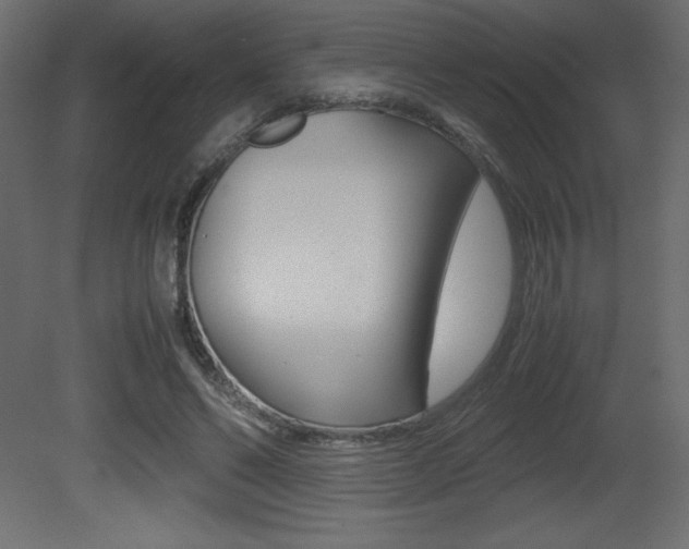 X0000081450494200701121019