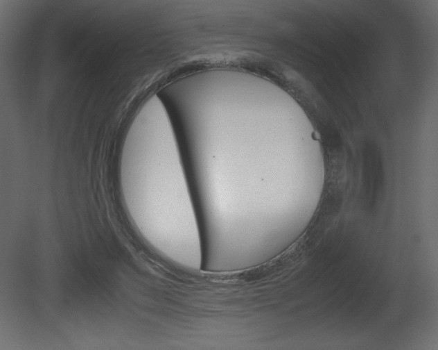 X0000081450495200701121018