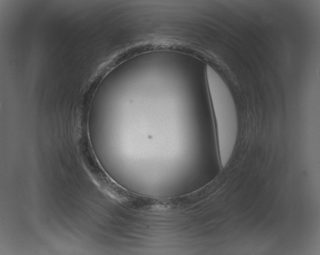 X0000081450496200701121018