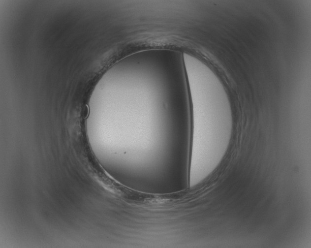 X0000081450497200701121018