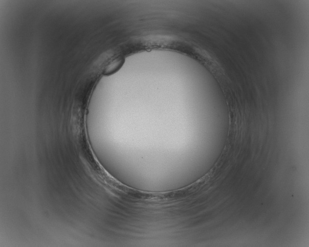 X0000081450498200701121018
