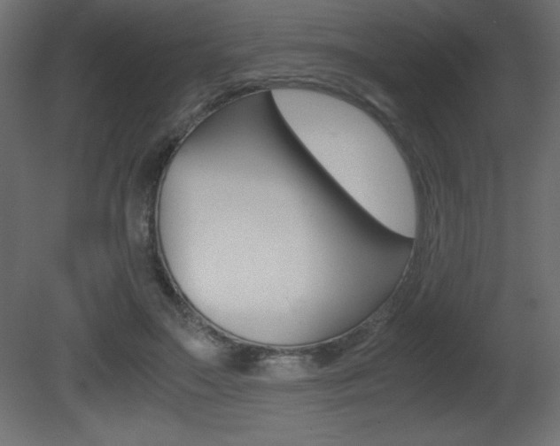 X0000081450499200701121018