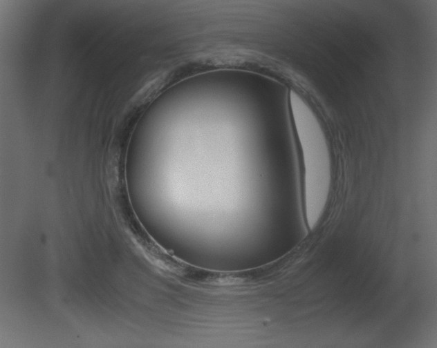 X0000081450501200701121018