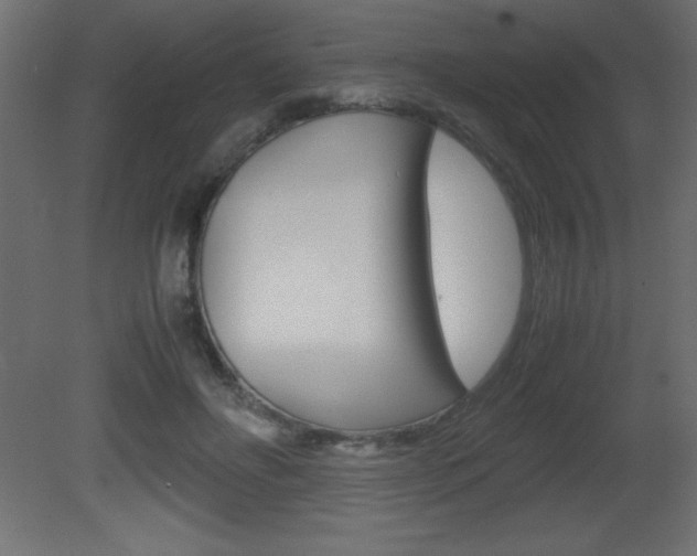 X0000081450502200701121018
