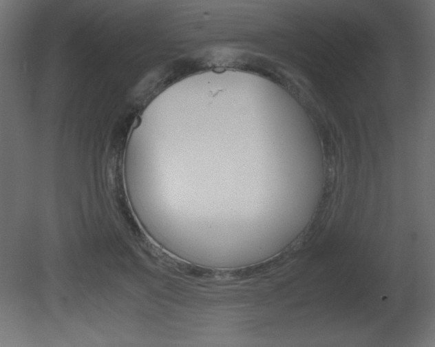 X0000081450503200701121018