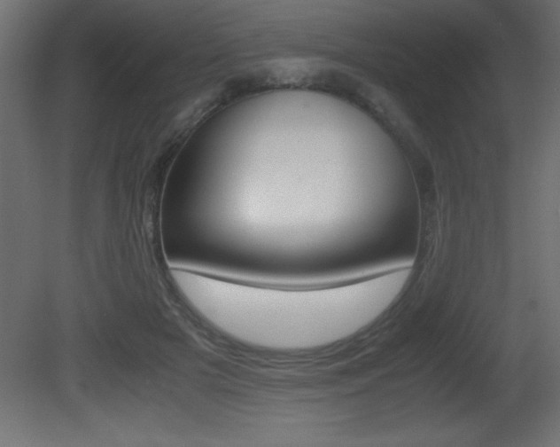 X0000081450505200701121018