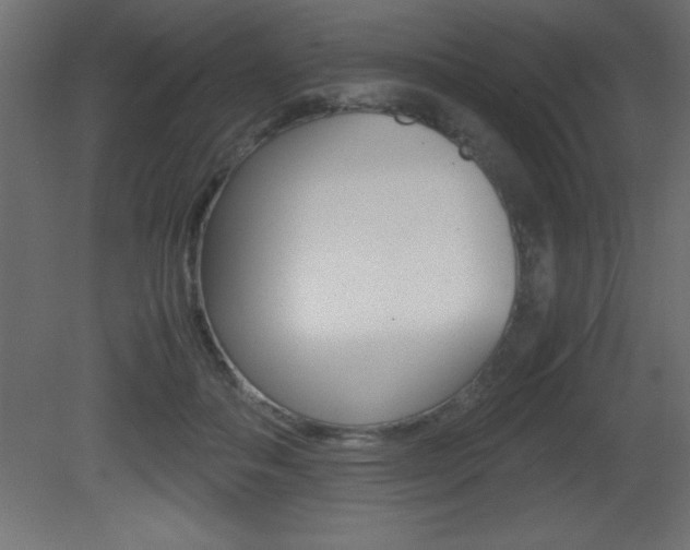 X0000081450506200701121018