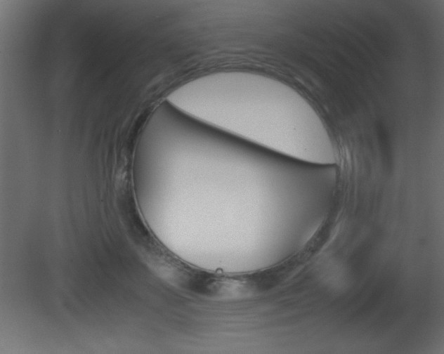 X0000081450507200701121018