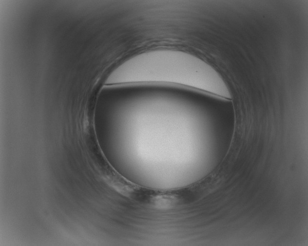 X0000081450508200701121018