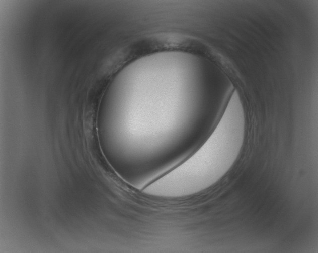 X0000081450509200701121018