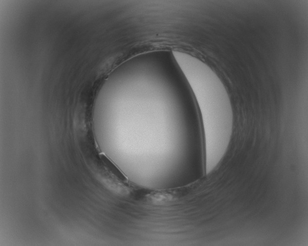 X0000081450512200701121018