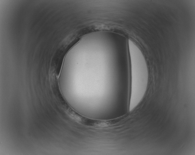 X0000081450513200701121018