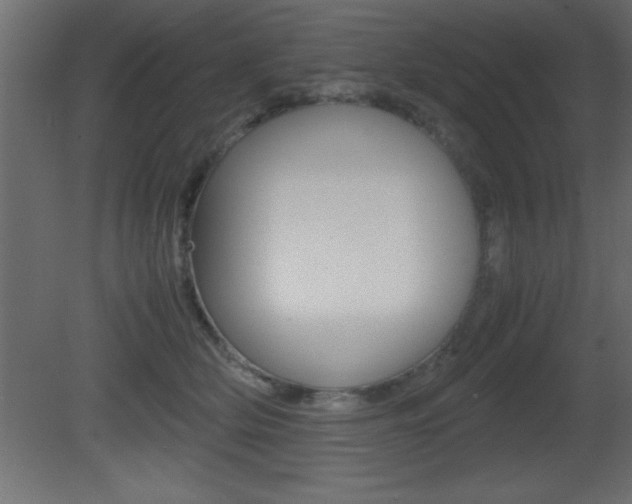 X0000081450514200701121018