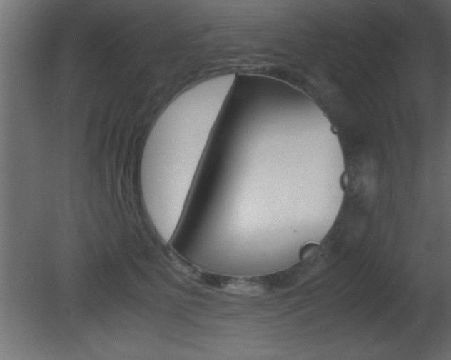 X0000081450515200701121018