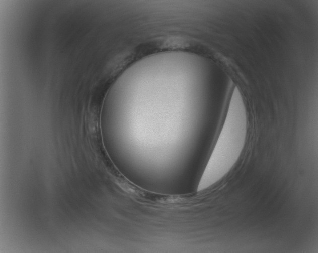 X0000081450517200701121018