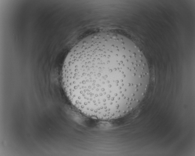 X0000081450519200701121018