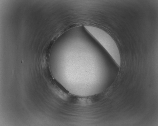 X0000081450520200701121018