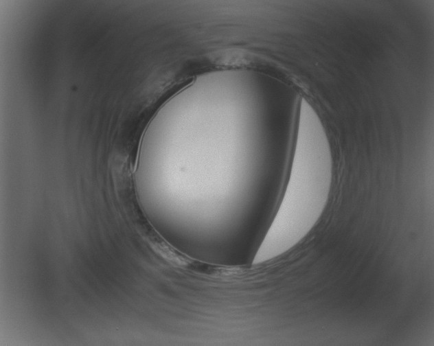 X0000081450521200701121018