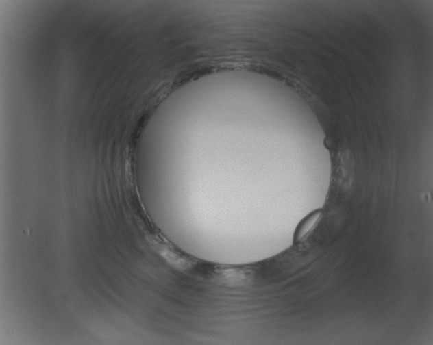 X0000081450522200701121018