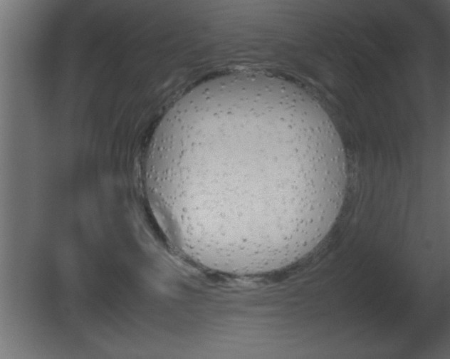X0000081450523200701121018