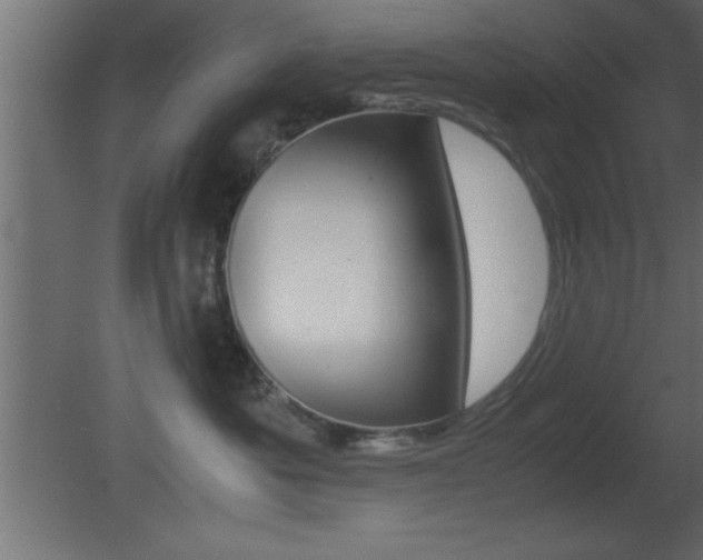 X0000081450525200701121018