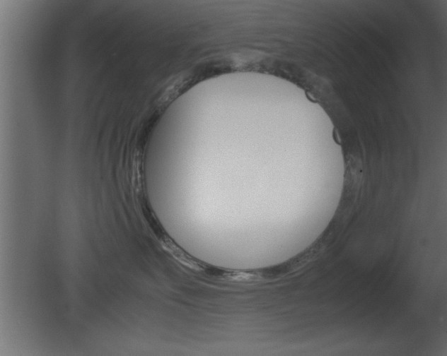 X0000081450527200701121018