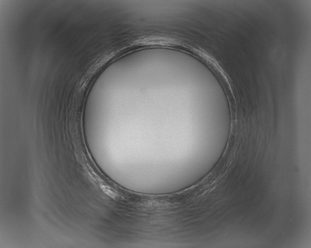 X0000081450529200701121017