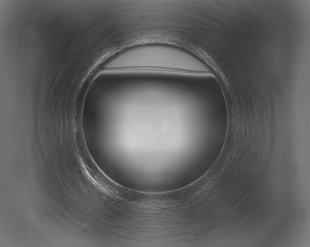 X0000081450530200701121017