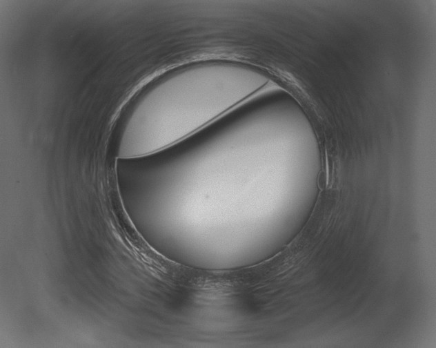 X0000081450531200701121017